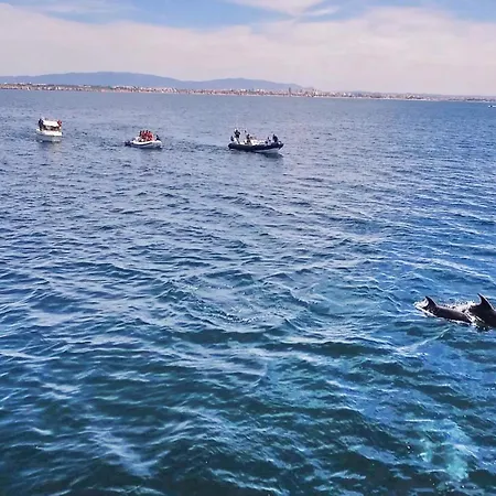 别墅 Agadir By Algarve Vacation